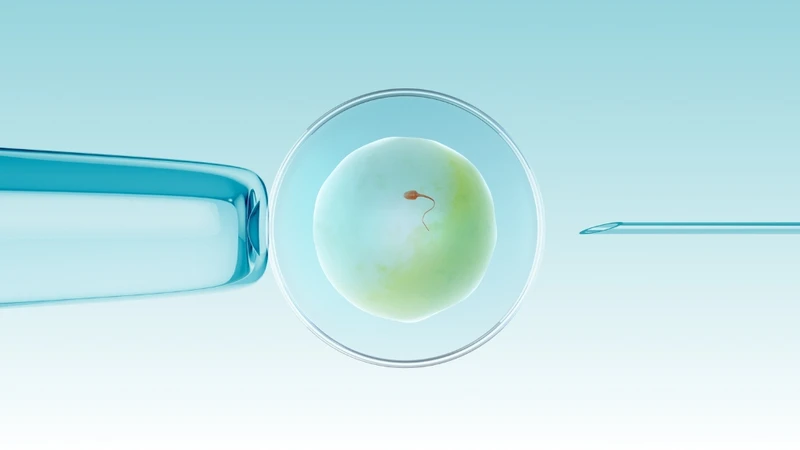 IUI hoặc IVF là những kỹ thuật hỗ trợ sinh sản hiện đại và hiệu quả