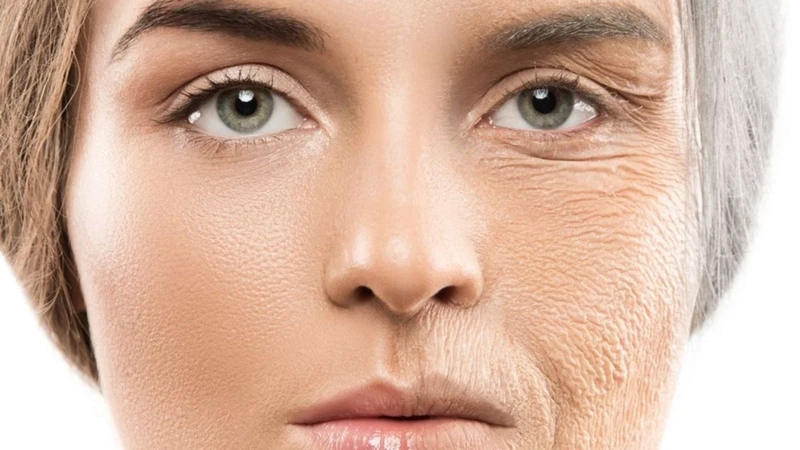 Ca cao giúp chống lão hóa nhờ hàm lượng chất chống oxy hóa cao