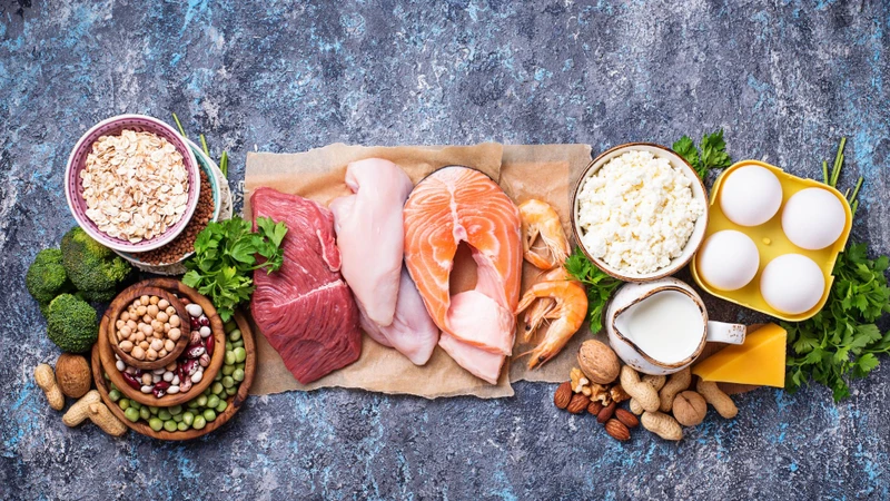 Nên kết hợp đa dạng các loại thực phẩm giàu protein nhưng chứa ít chất béo vào bữa ăn hàng ngày
