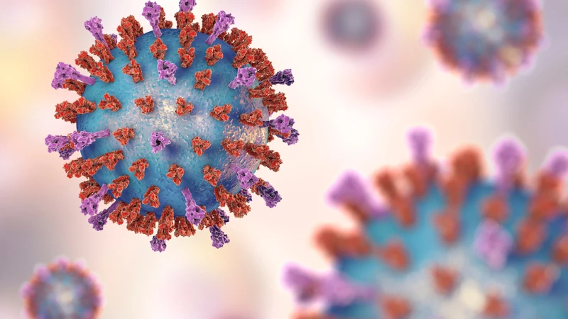 Virus RSV là tác nhân gây nhiễm trùng đường hô hấp
