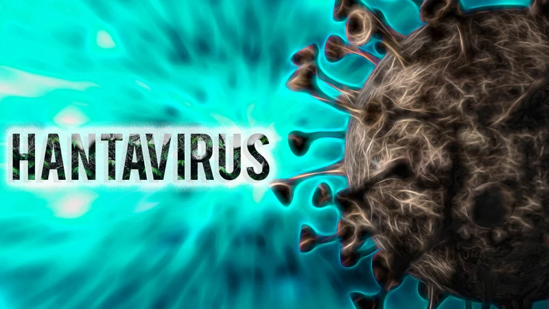 Virus Hanta là gì? Triệu chứng, đường lây truyền và cách phòng ngừa hiệu quả 1