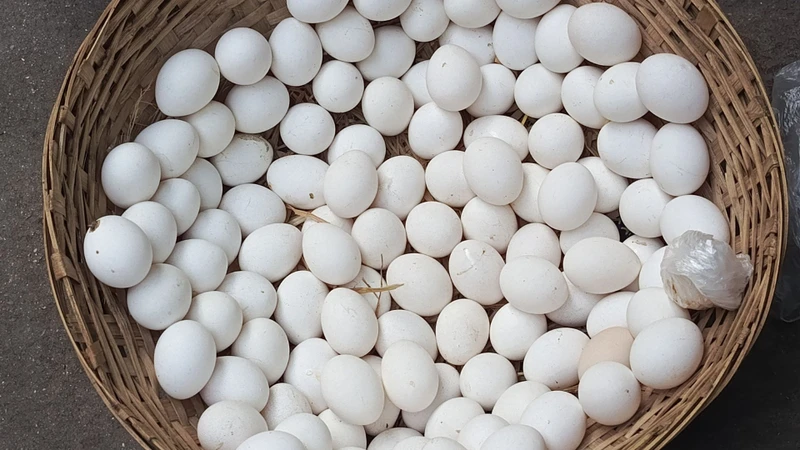 1 quả trứng vịt bao nhiêu protein là nỗi băn khoăn của nhiều độc giả