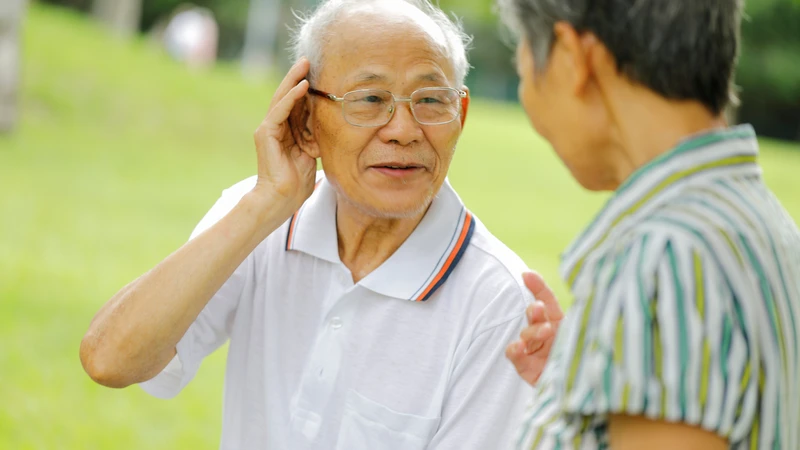 Tổn thương vùng thùy thái dương có thể làm giảm hoặc mất thính lực