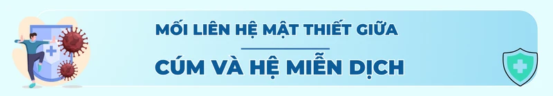 Cúm và hệ miễn dịch: Hiểu đúng để phòng bệnh hiệu quả titleH2 2
