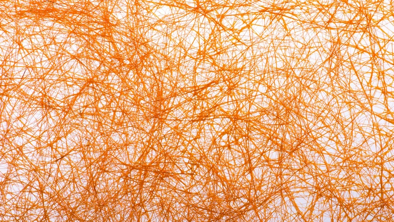 Các sợi collagen tái tổ chức và liên kết chặt chẽ hơn, góp phần tăng độ bền cho mô