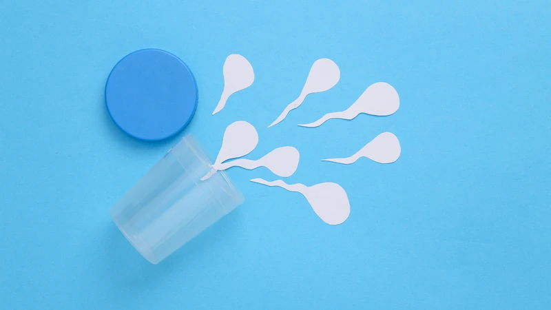 2ml tinh trùng là bao nhiêu? Là lượng trung bình, nằm trong giới hạn sinh lý bình thường