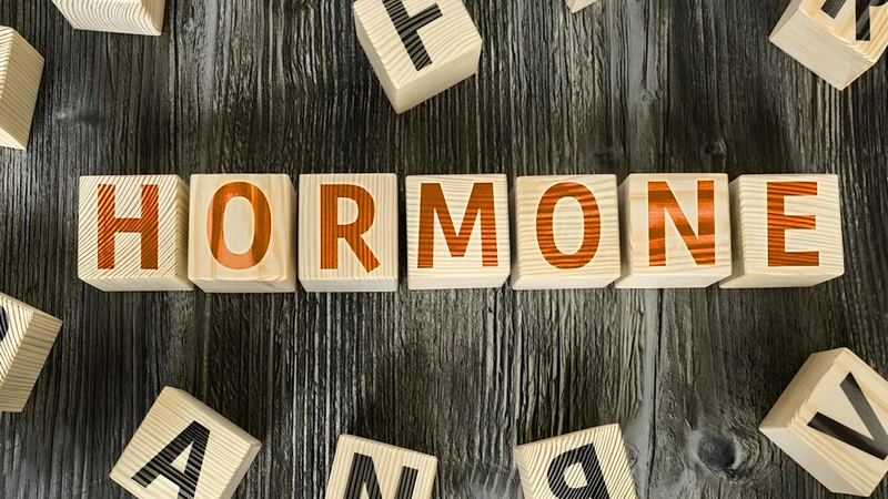 Hormone là gì? Các loại hormone trong cơ thể người 1