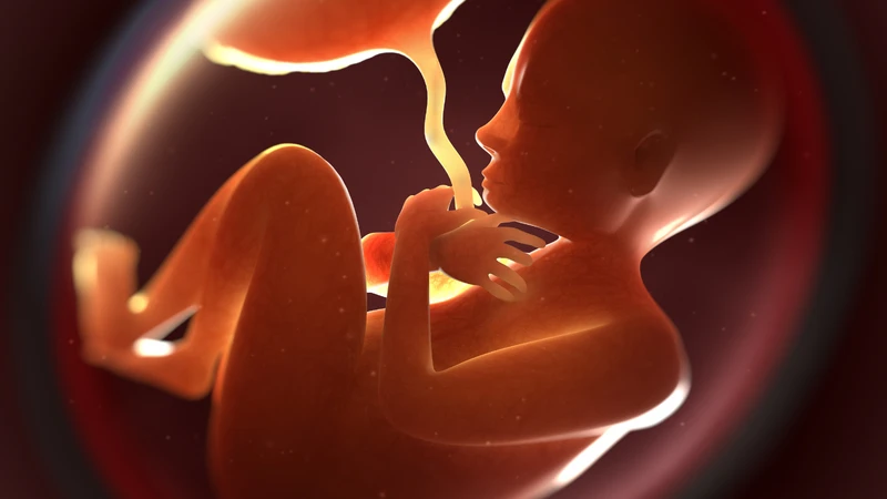 Kích thước và cân nặng của bé cũng là những chỉ số quan trọng giúp đánh giá mức độ phát triển và sự sẵn sàng chào đời