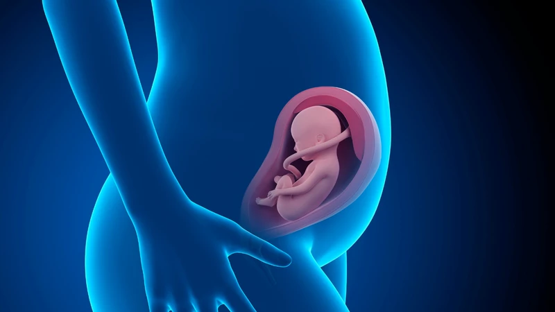 Sữa tươi không đường là nguồn bổ sung canxi lý tưởng giúp thai nhi hình thành xương, răng