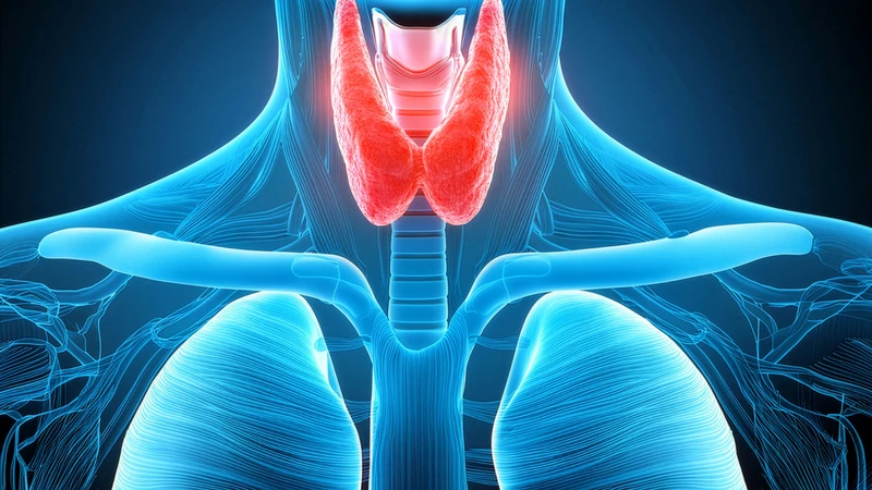 Chế độ ăn uống không chỉ hỗ trợ mà còn đóng vai trò quan trọng trong kiểm soát và điều trị bệnh tuyến giáp