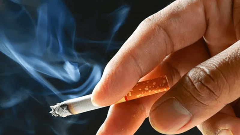 Viêm phổi thuỳ là bệnh gì? Nguyên nhân, triệu chứng, điều trị và cách phòng ngừa viêm phổi thuỳ 4.png