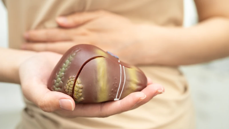 Viêm gan, xơ gan làm suy giảm chức năng tổng hợp yếu tố đông máu, khiến máu đông chậm hơn và INR tăng