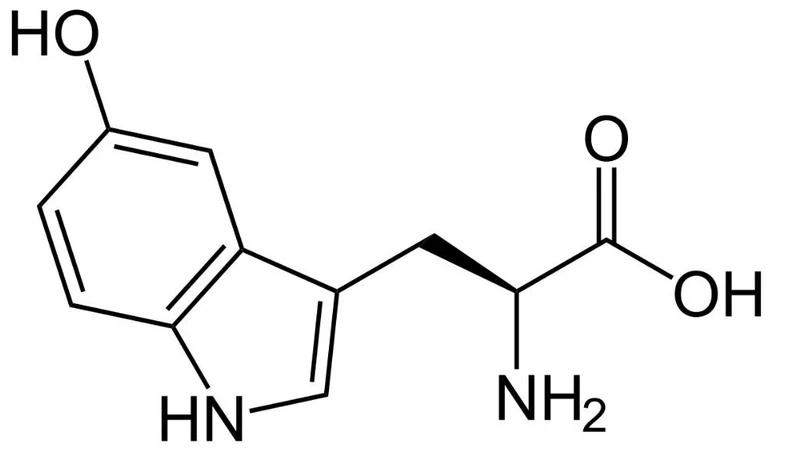 5-HTP là tiền chất trung gian trong quá trình tổng hợp serotonin