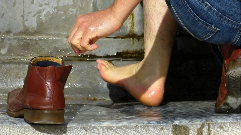6 cách đuổi muỗi tại nhà hiệu quả  4