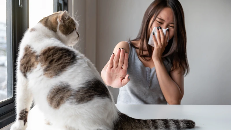 Nghẹt mũi: Nguyên nhân, điều trị và cách phòng ngừa 7.png