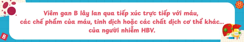 8 lầm tưởng phổ biến về bệnh viêm gan B 1