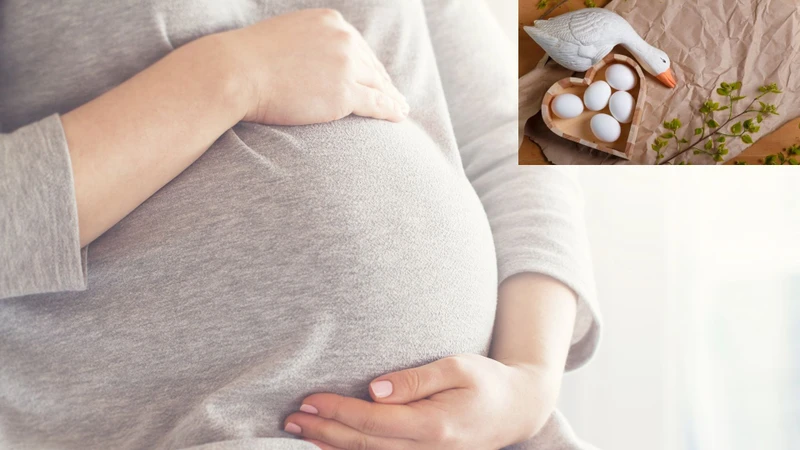 Bầu ăn trứng ngỗng được không? Những điều cần lưu ý khi mẹ bầu ăn trứng ngỗng 1