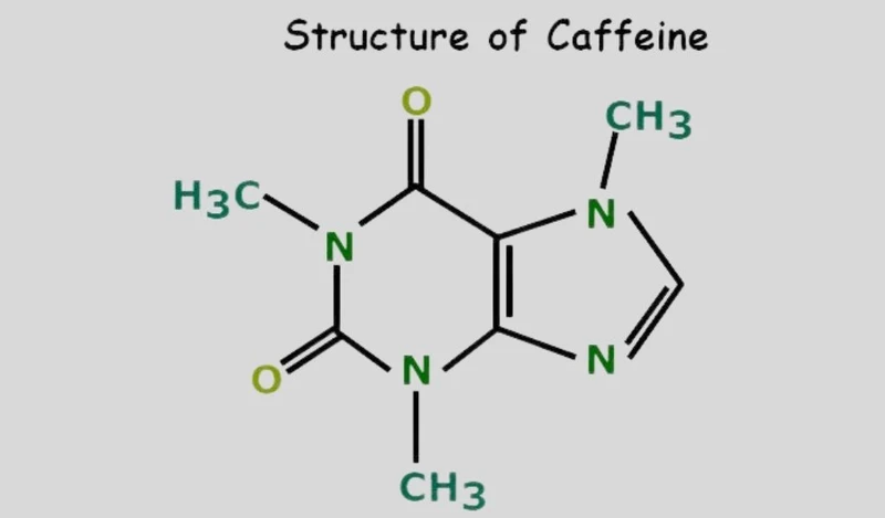 Hình ảnh minh họa cấu trúc phân tử của caffeine