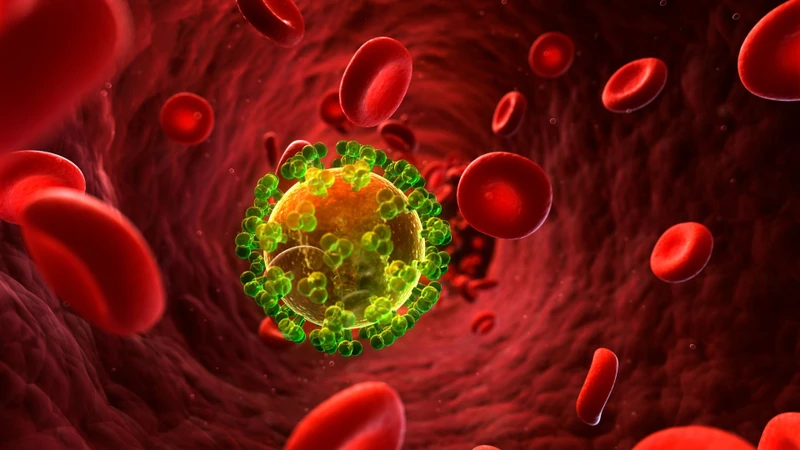 HIV là virus thuộc họ Retroviridae