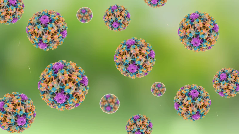 HPV-type-51-co-nguy-hiem-khong 01.jpg
