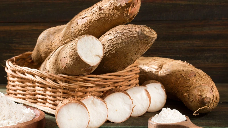 Histidine được sản xuất chủ yếu bằng công nghệ lên men vi sinh từ các nguồn carbohydrate như glucose, mật rỉ đường, tinh bột ngô hoặc tinh bột sắn