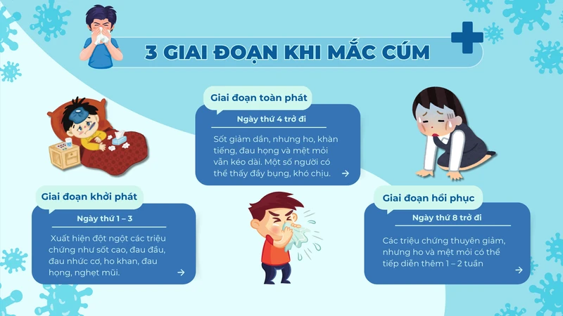 Cúm và hệ miễn dịch: Hiểu đúng để phòng bệnh hiệu quả 2