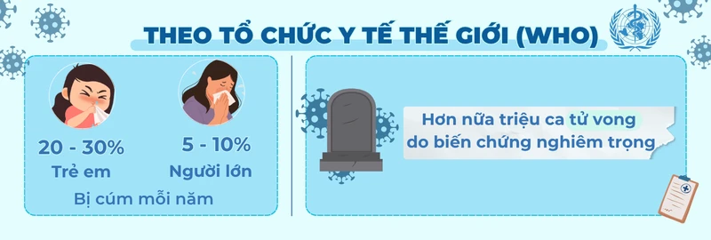 Cúm và hệ miễn dịch: Hiểu đúng để phòng bệnh hiệu quả 1