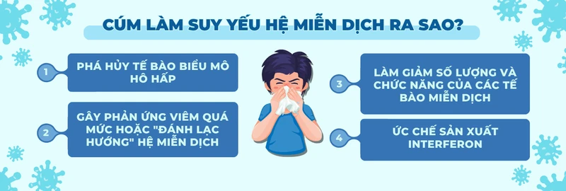 Cúm và hệ miễn dịch: Hiểu đúng để phòng bệnh hiệu quả 4