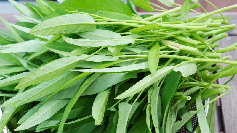 Người tiểu đường có ăn được rau muống không? Giải đáp chi tiết từ góc nhìn dinh dưỡng