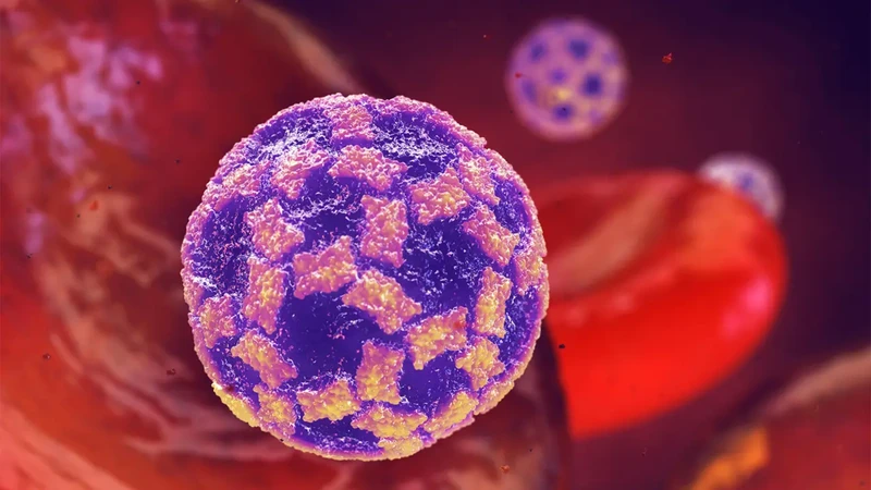 Norovirus là gì? Các dấu hiệu khi bạn nhiễm Norovirus