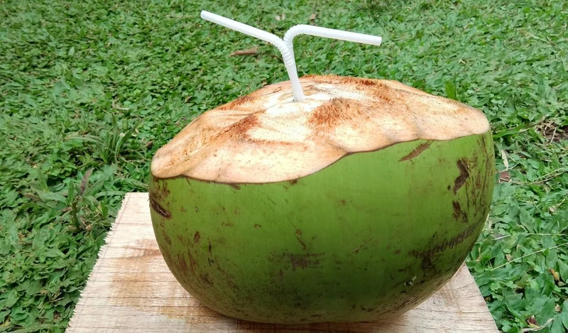 Uống nước dừa mỗi ngày có tốt không phụ thuộc vào liều lượng và cách dùng
