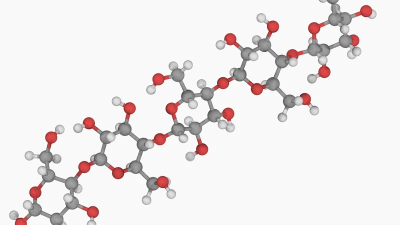 Polysaccharide (đường đa) là carbohydrate phức tạp được tạo từ nhiều monosaccharide liên kết với nhau bằng liên kết glycosidic