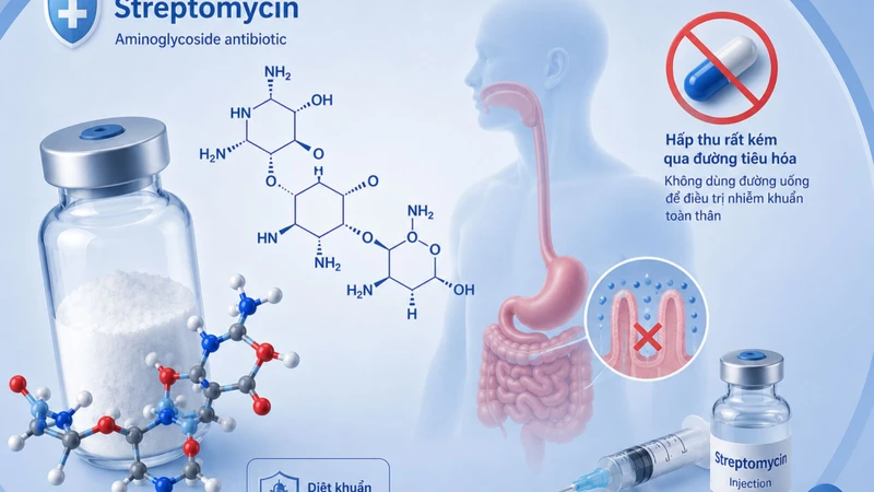 Streptomycin chủ yếu được dùng bằng đường tiêm bắp nhằm đạt nồng độ điều trị cần thiết trong máu và các mô