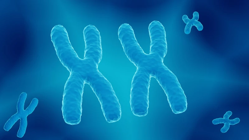 Telomere là đoạn DNA đặc biệt nằm ở mỗi đầu của nhiễm sắc thể