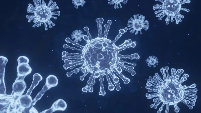 Mỗi năm, virus cúm có thể thay đổi cấu trúc, trong khi vắc xin được bào chế dựa trên các chủng phổ biến