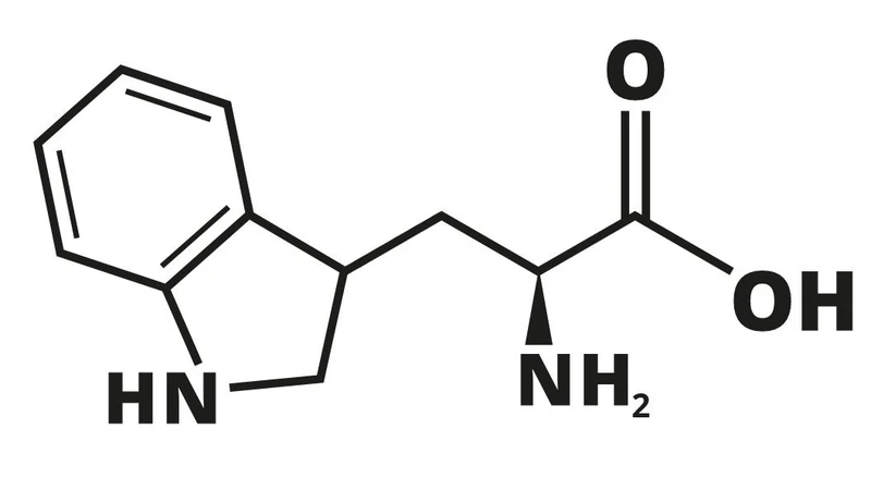 Tryptophan là axit amin thiết yếu cơ thể không thể tự tổng hợp được
