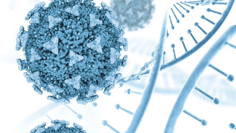 Quá trình sản xuất vắc xin Nanoparticle bắt đầu từ việc chọn kháng nguyên hoặc vật liệu di truyền phù hợp và kiểm tra nghiêm ngặt trước sản xuất