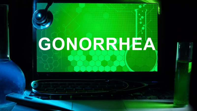 Vi khuẩn Neisseria gonorrhoeae: Đặc điểm, triệu chứng và điều trị bệnh lậu 1