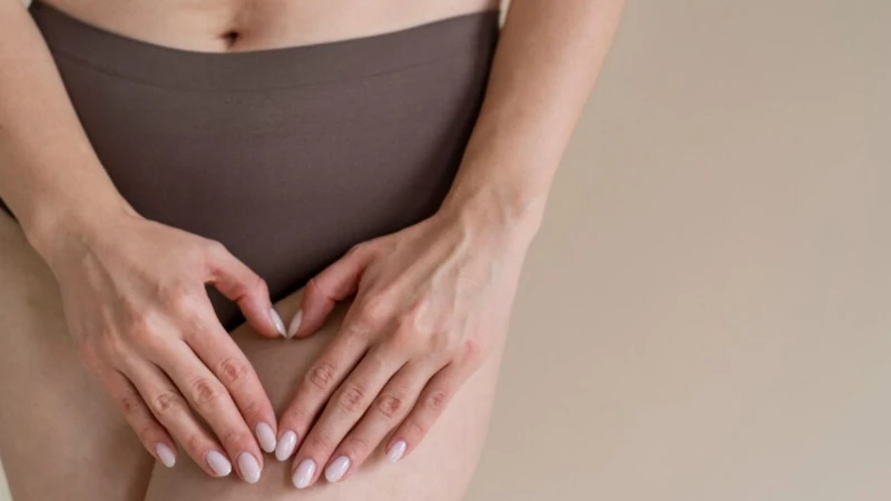 Bàng quang: Vị trí và chức năng trong cơ thể 3