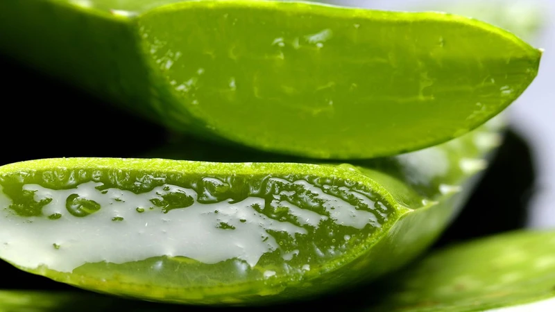 5 cách trị vết thâm muỗi đốt lâu ngày cho bé​ 1