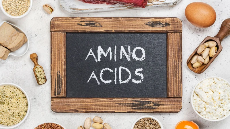 Chế độ ăn giàu protein có giúp giảm cân không? 2