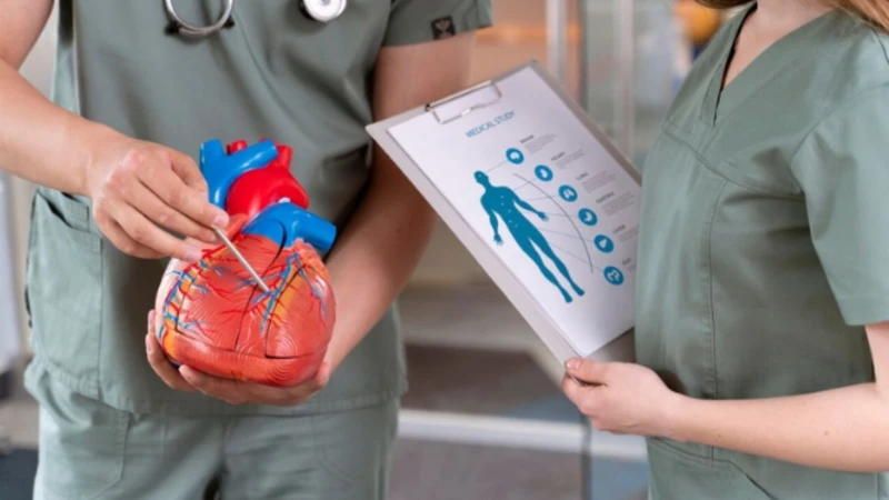 Sơ đồ vòng tuần hoàn máu và tác động của tuần hoàn đến sức khỏe 1