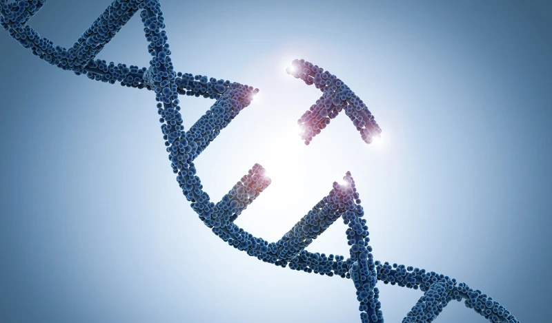 PCR và giải trình tự ADN giúp phát hiện sớm đột biến di truyền