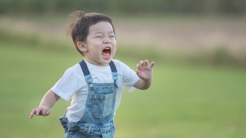 Nên cẩn thận khi cho trẻ nhỏ ăn vải thiều