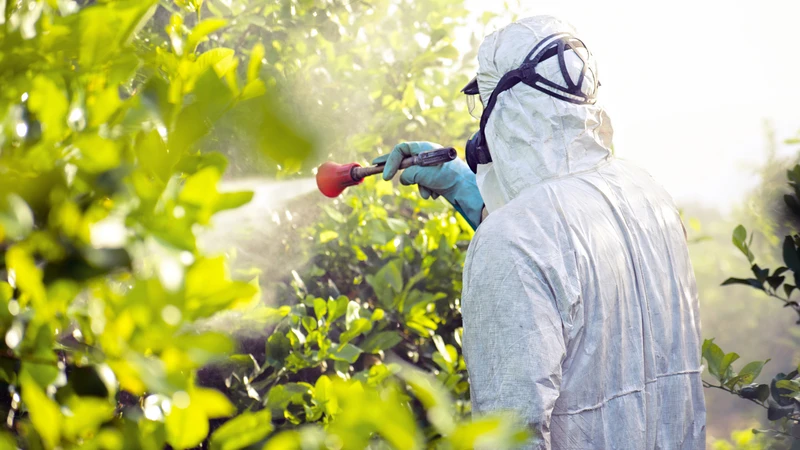Biện pháp phòng tránh alpha cypermethrin ngộ độc trong sinh hoạt