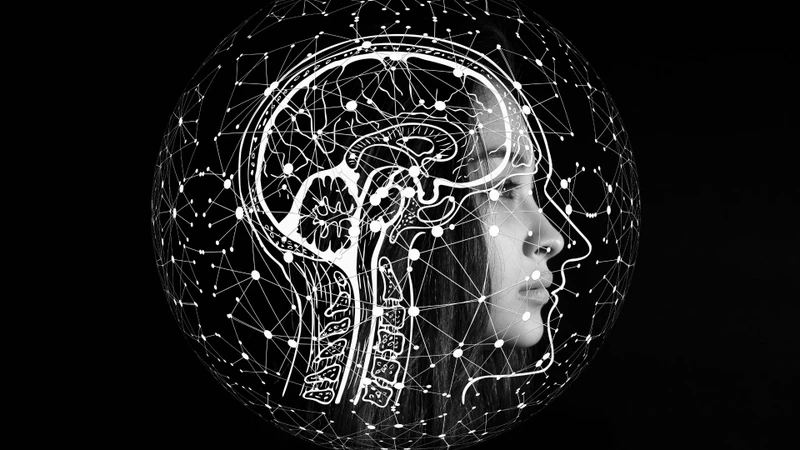 Ám thị tâm lý xảy ra khi não tiếp nhận thông tin và kích hoạt phản ứng cảm xúc hành vi
