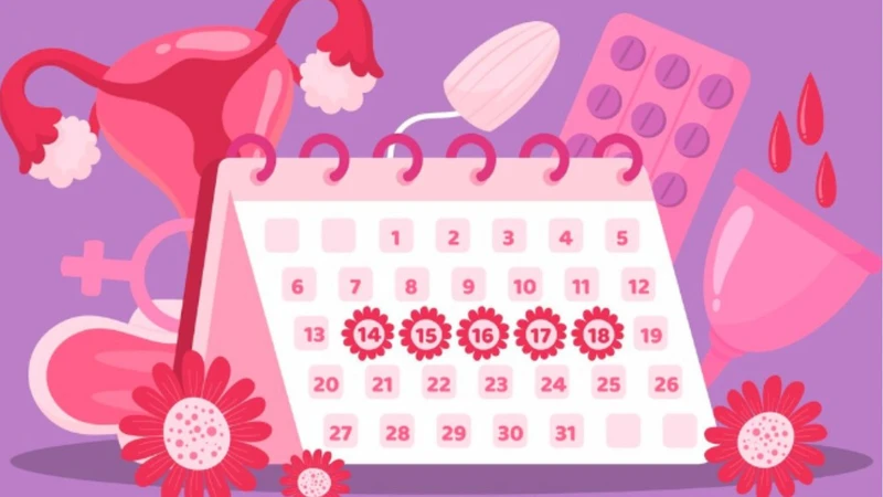 AMH thấp có rụng trứng không​? 2