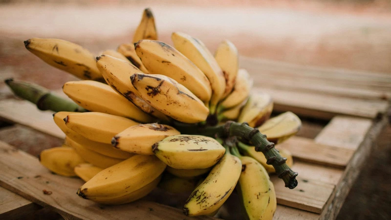 Ăn chuối đúng cách còn góp phần làm chậm quá trình lão hóa từ bên trong
