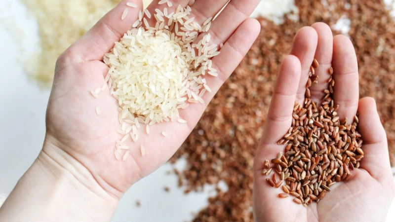Ăn cơm gạo lứt có giảm cân không? Sự thật từ góc nhìn dinh dưỡng 2