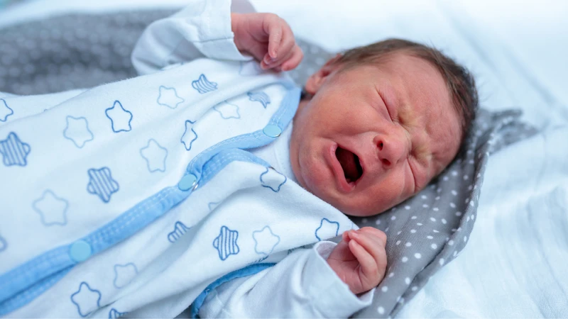 Ăn dặm là gì? Khi nào nên bắt đầu ăn dặm? 3